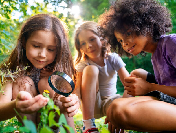 Home Banner Image Three